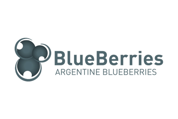 logo-blueberries-color